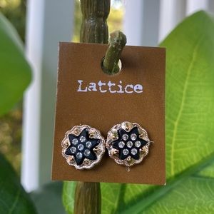 Earrings NWT